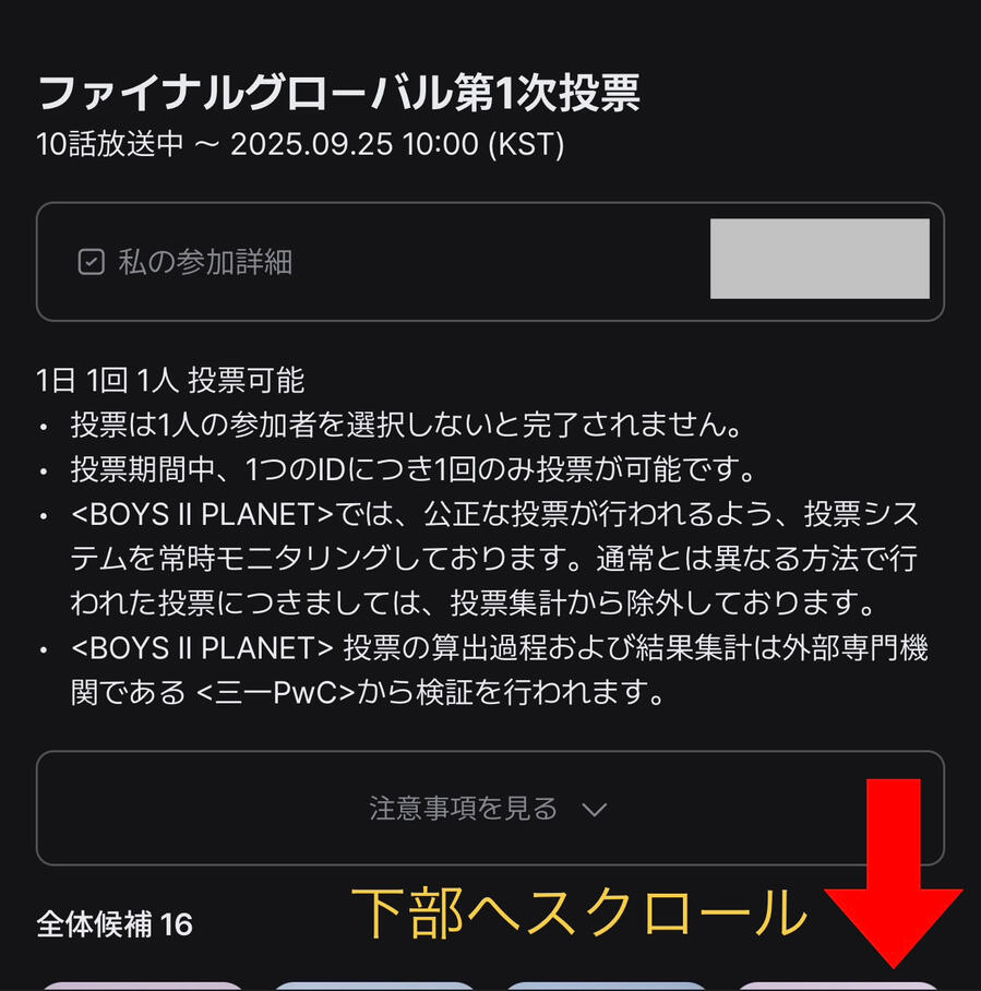 ユメキ_投票したい ユメキに投票できない、方法が難しい方向け